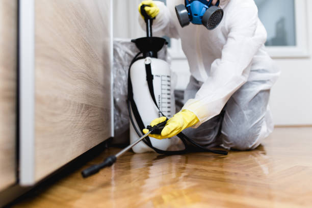 Best Pest Prevention Services  in Cool Valley, MO