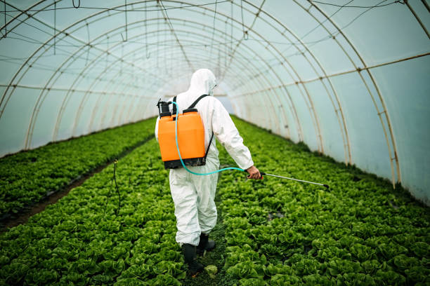 Best Mosquito Control Services  in Cool Valley, MO