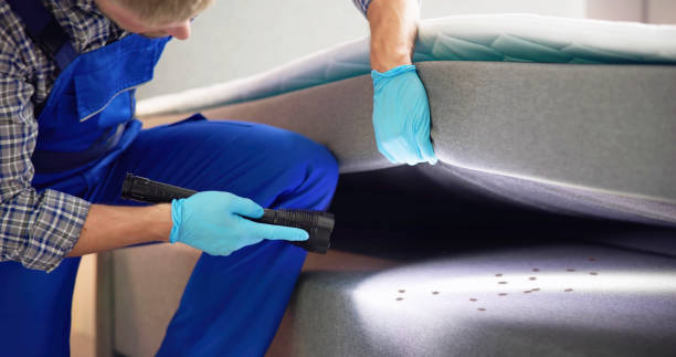 Best Best Pest Control Companies  in Cool Valley, MO