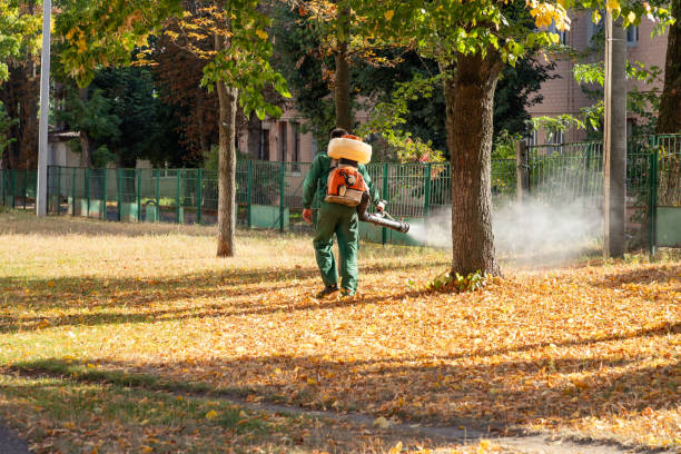 Professional Pest Control in Cool Valley, MO