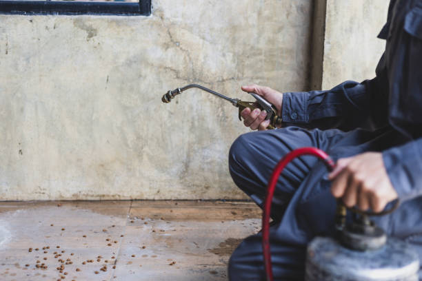 Best Pest Prevention Services  in Cool Valley, MO